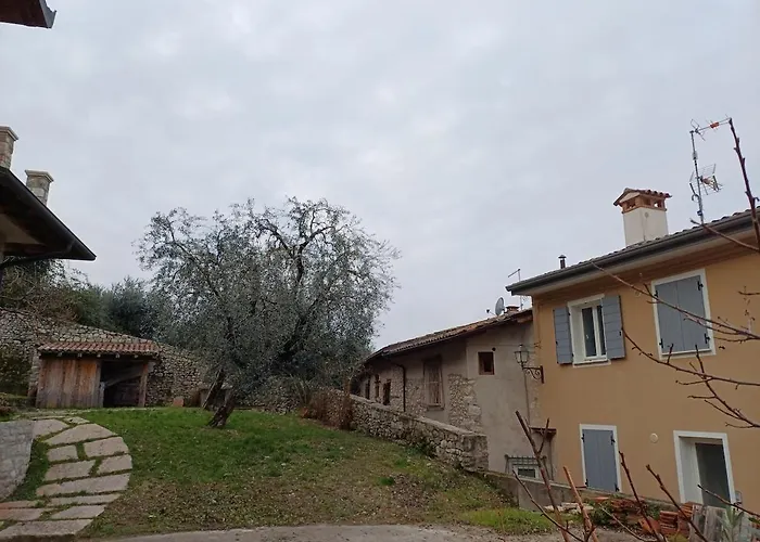 View N 13