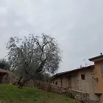 View N 13