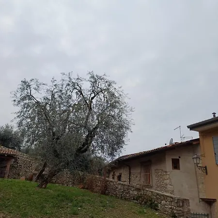 View N 13